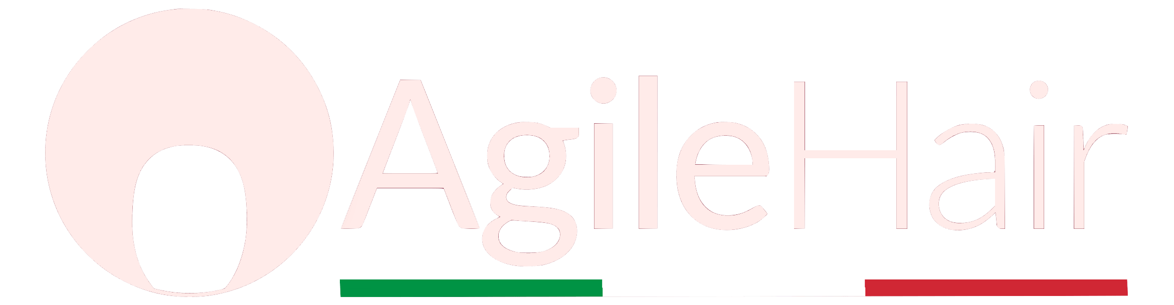 Logo AgileHair ITA